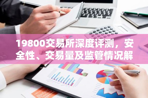 19800交易所深度评测，安全性、交易量及监管情况解析