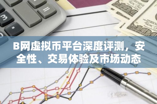 B网虚拟币平台深度评测，安全性、交易体验及市场动态