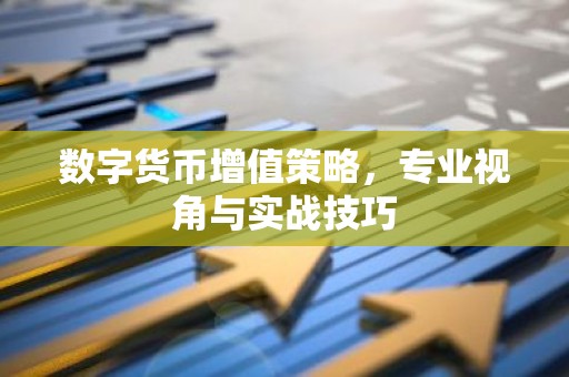 数字货币增值策略，专业视角与实战技巧