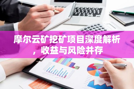 摩尔云矿挖矿项目深度解析，收益与风险并存