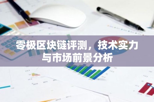 零极区块链评测，技术实力与市场前景分析