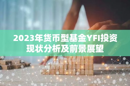 2023年货币型基金YFI投资现状分析及前景展望