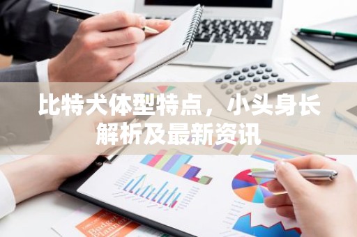 比特犬体型特点，小头身长解析及最新资讯