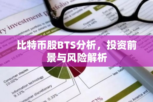 比特币股BTS分析，投资前景与风险解析