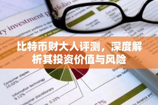 比特币财大人评测，深度解析其投资价值与风险