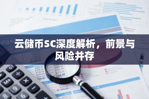 云储币SC深度解析，前景与风险并存