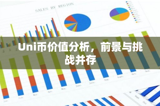 Uni币价值分析，前景与挑战并存