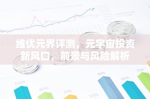 维优元界评测，元宇宙投资新风口，前景与风险解析