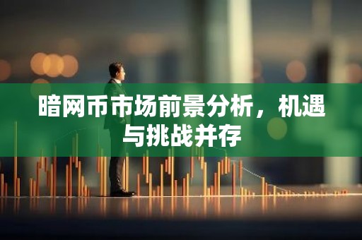 暗网币市场前景分析，机遇与挑战并存