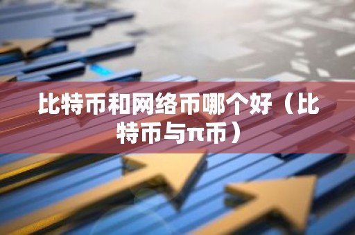 比特币和网络币哪个好（比特币与π币）