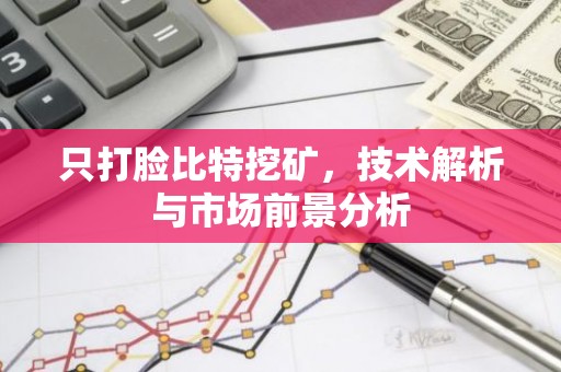 只打脸比特挖矿，技术解析与市场前景分析