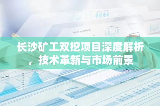 长沙矿工双挖项目深度解析，技术革新与市场前景