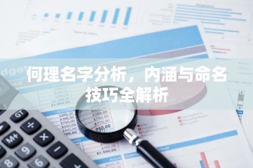 何理名字分析，内涵与命名技巧全解析