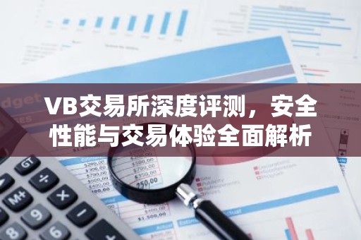 VB交易所深度评测，安全性能与交易体验全面解析