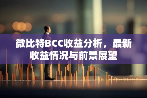微比特BCC收益分析，最新收益情况与前景展望