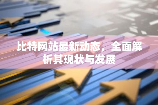 比特网站最新动态，全面解析其现状与发展