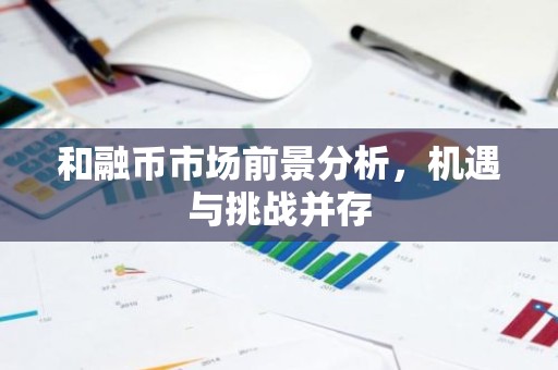 和融币市场前景分析，机遇与挑战并存
