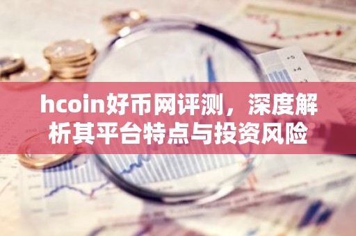 hcoin好币网评测，深度解析其平台特点与投资风险