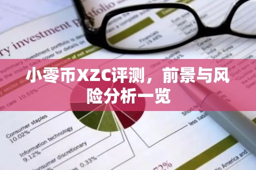 小零币XZC评测，前景与风险分析一览