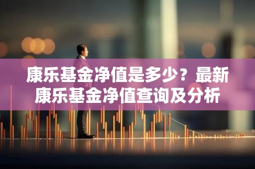 康乐基金净值是多少？最新康乐基金净值查询及分析