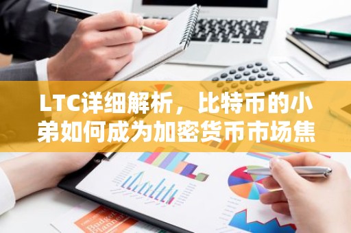 LTC详细解析，比特币的小弟如何成为加密货币市场焦点