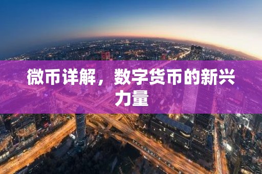 微币详解，数字货币的新兴力量