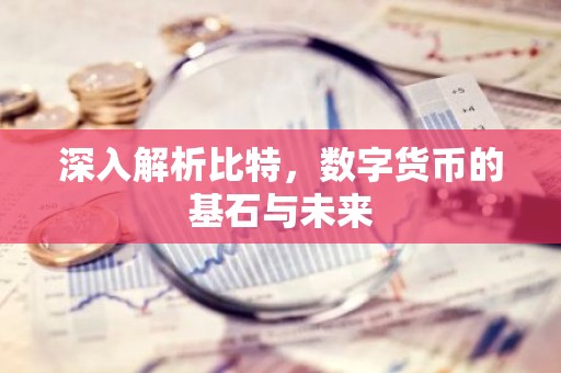 深入解析比特，数字货币的基石与未来