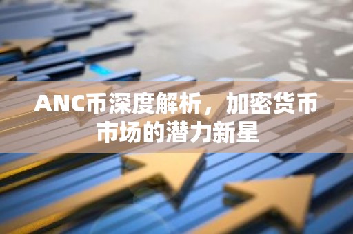 ANC币深度解析，加密货币市场的潜力新星