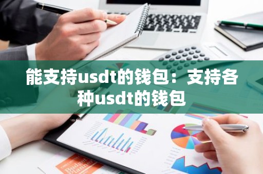 能支持usdt的钱包：支持各种usdt的钱包