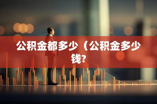 公积金都多少（公积金多少钱?