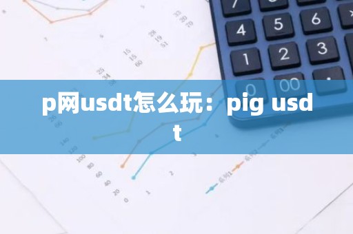 p网usdt怎么玩：pig usdt