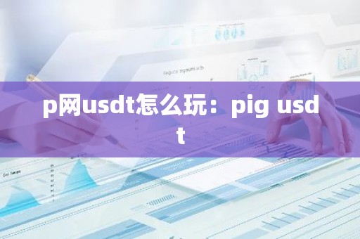 p网usdt怎么玩：pig usdt
