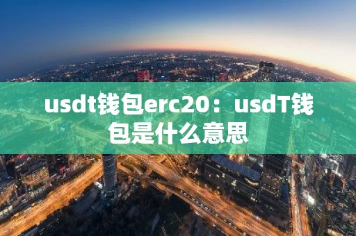usdt钱包erc20：usdT钱包是什么意思