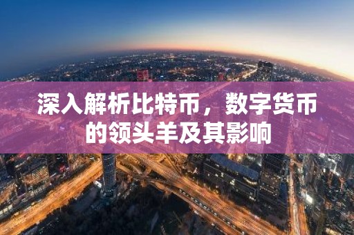 深入解析比特币，数字货币的领头羊及其影响