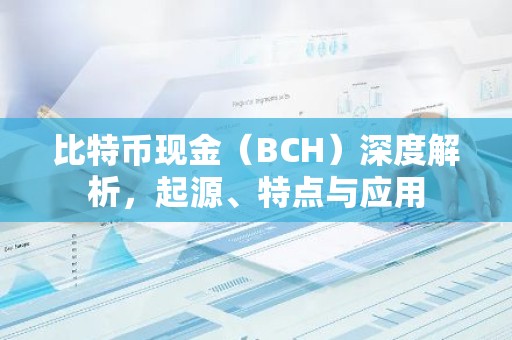 比特币现金（BCH）深度解析，起源、特点与应用