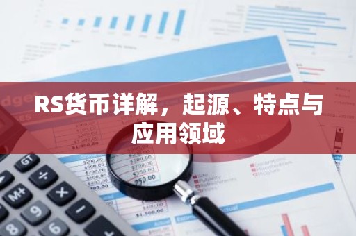 RS货币详解，起源、特点与应用领域