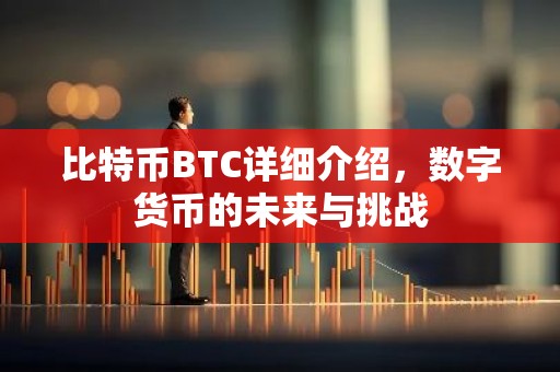 比特币BTC详细介绍，数字货币的未来与挑战