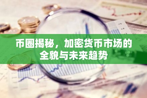 币圈揭秘，加密货币市场的全貌与未来趋势