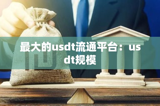 最大的usdt流通平台：usdt规模