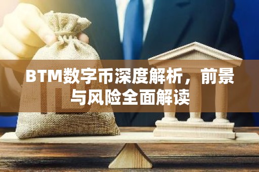 BTM数字币深度解析，前景与风险全面解读
