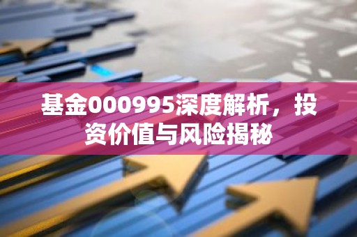 基金000995深度解析，投资价值与风险揭秘