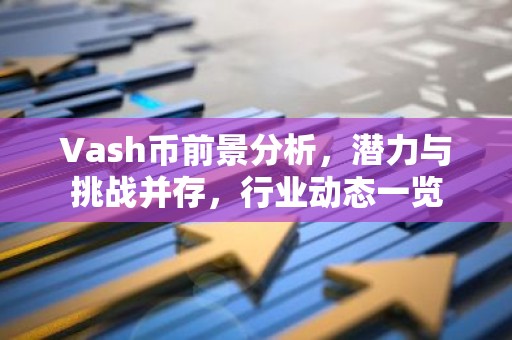 Vash币前景分析，潜力与挑战并存，行业动态一览