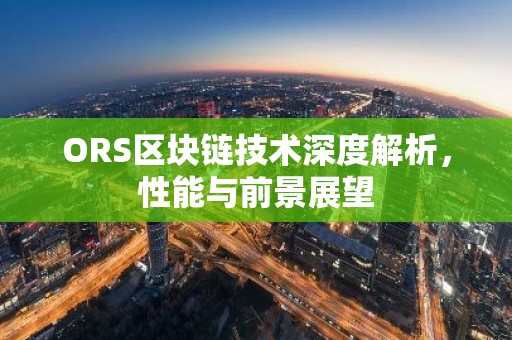 ORS区块链技术深度解析，性能与前景展望