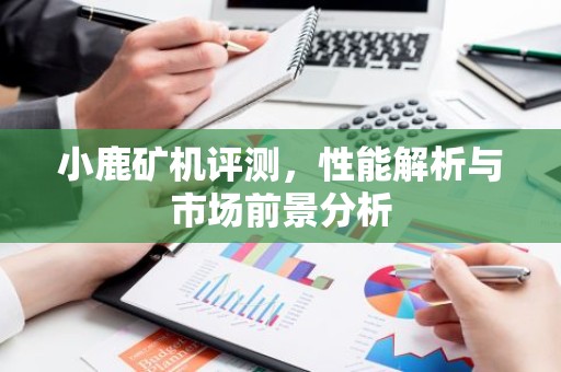 小鹿矿机评测，性能解析与市场前景分析
