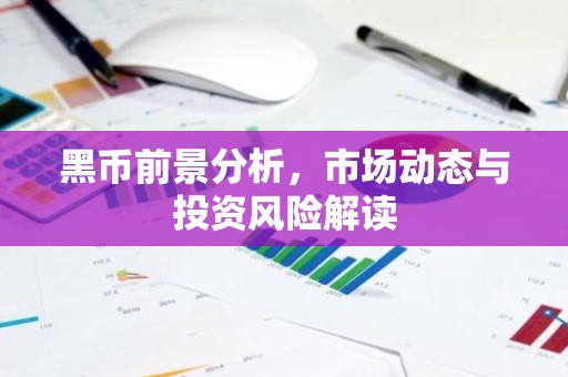 黑币前景分析，市场动态与投资风险解读