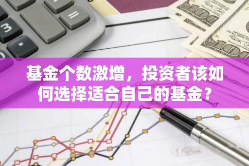 基金个数激增，投资者该如何选择适合自己的基金？