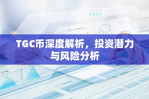 TGC币深度解析，投资潜力与风险分析