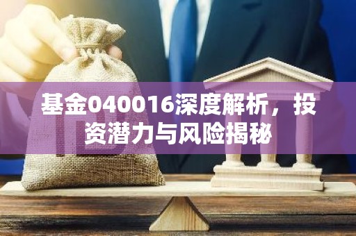 基金040016深度解析，投资潜力与风险揭秘