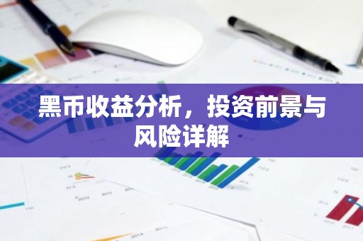 黑币收益分析，投资前景与风险详解