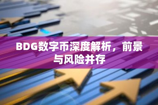 BDG数字币深度解析，前景与风险并存